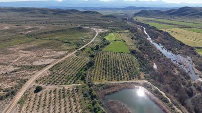 Farm For Sale in Ladismith, Ladismith
